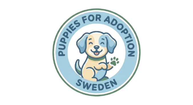 Valpar för adoption i Sverige